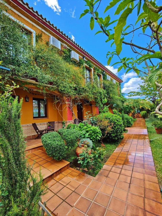 Hotel Donana Blues Matalascañas Zewnętrze zdjęcie