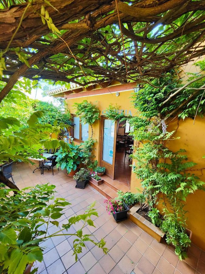 Hotel Donana Blues Matalascañas Zewnętrze zdjęcie